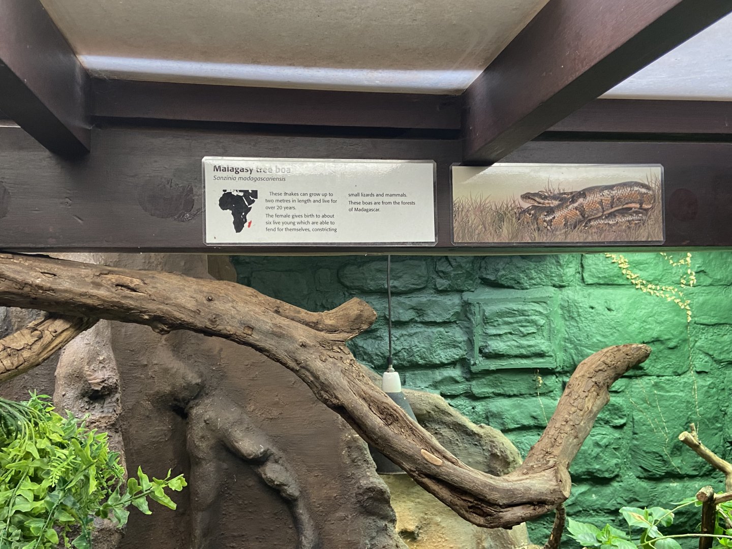 Bristol Zoo reptile house