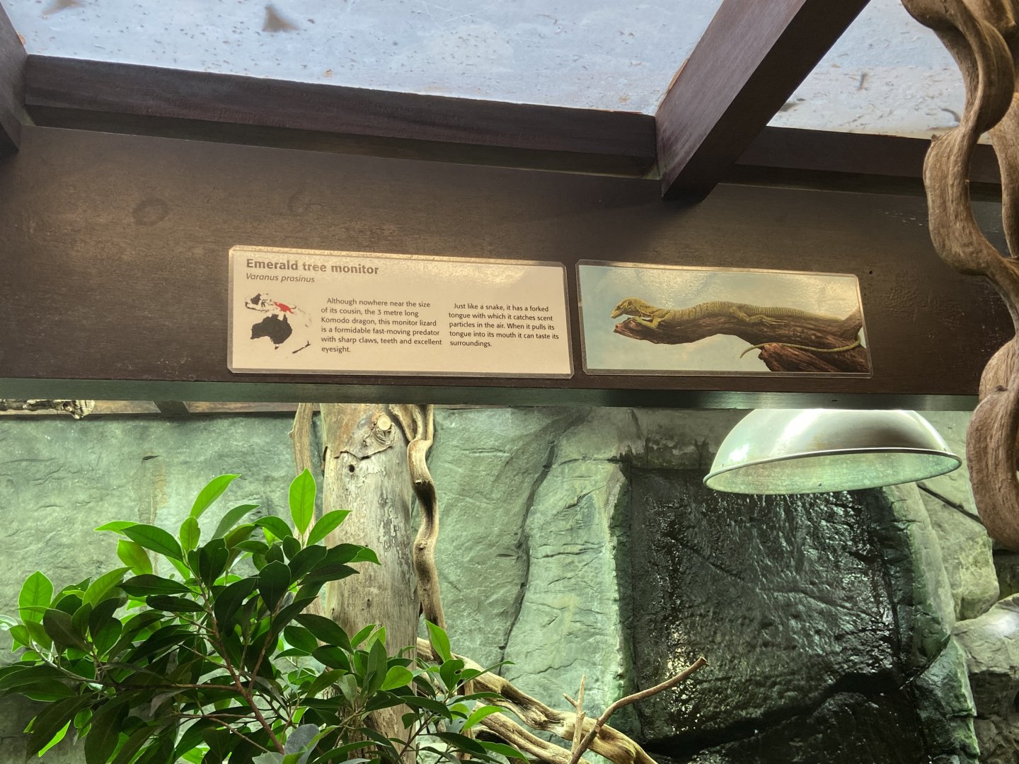 Bristol Zoo reptile house