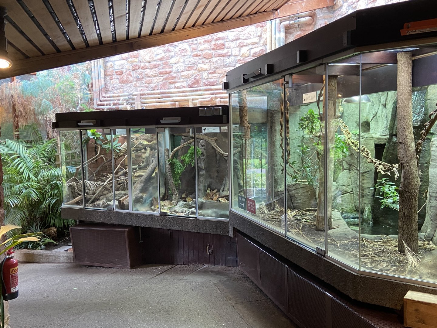 Bristol Zoo reptile house