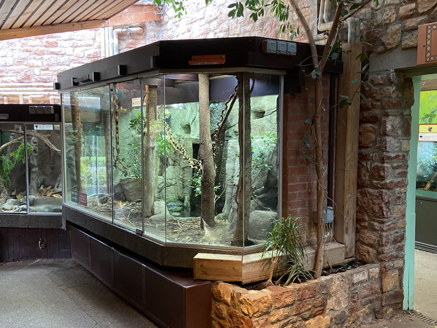 Bristol Zoo reptile house