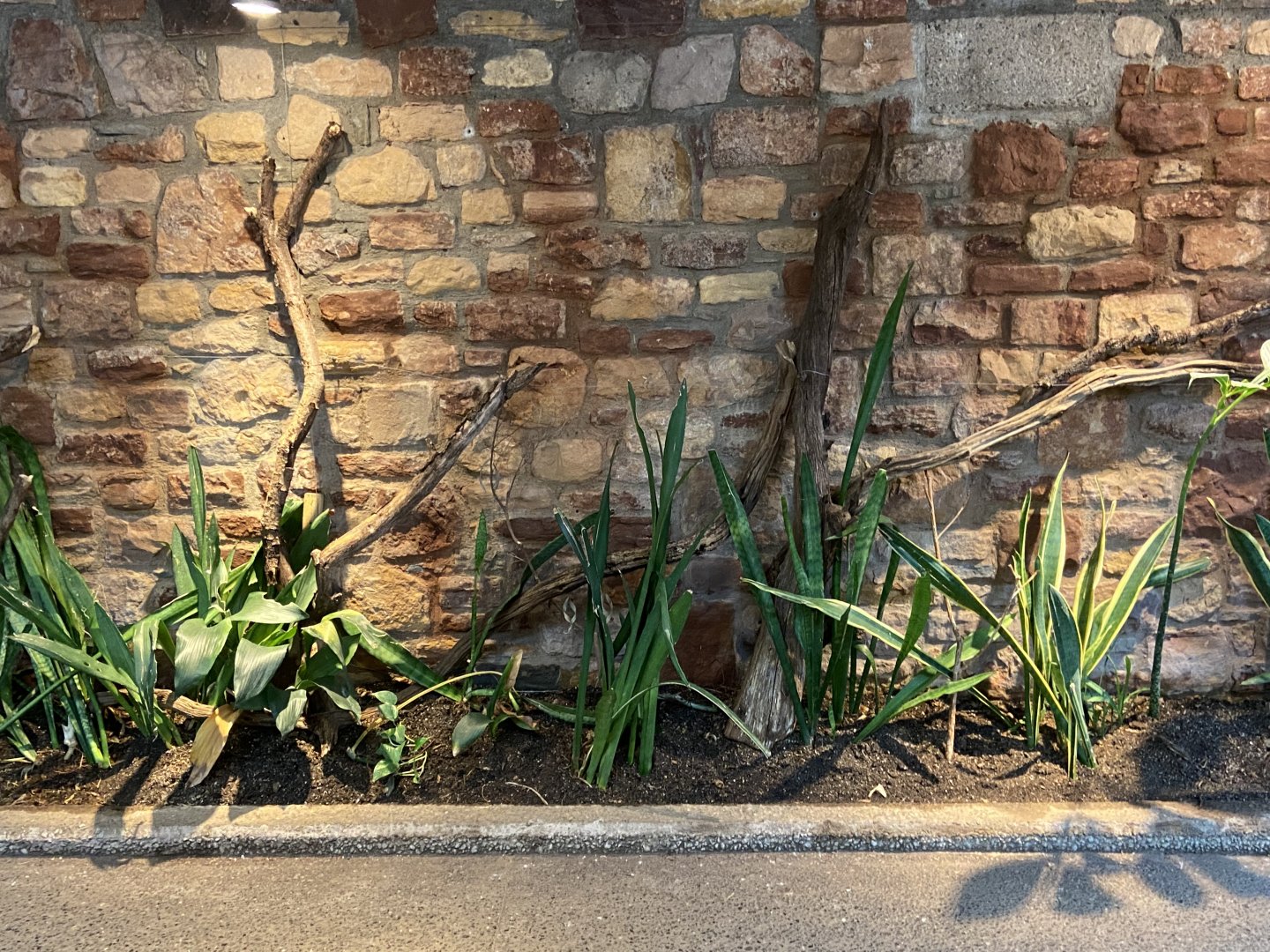 Bristol Zoo reptile house