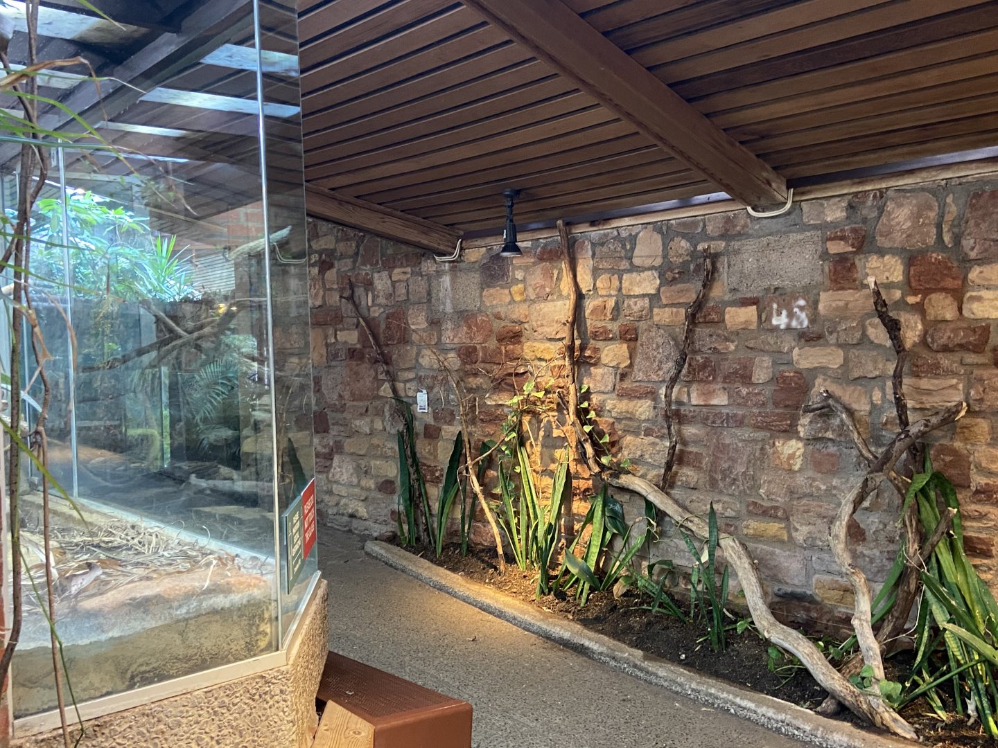 Bristol Zoo reptile house