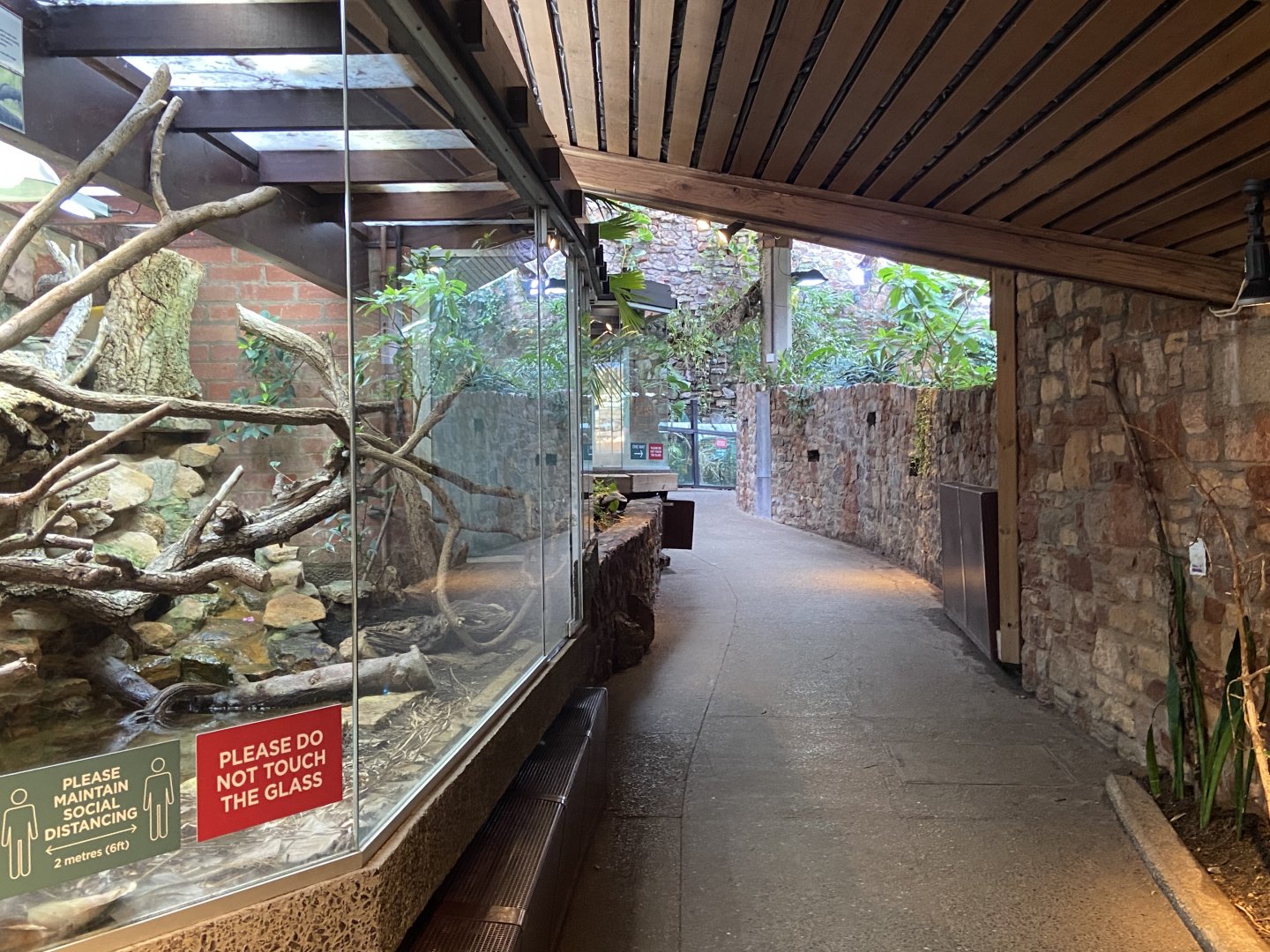 Bristol Zoo reptile house