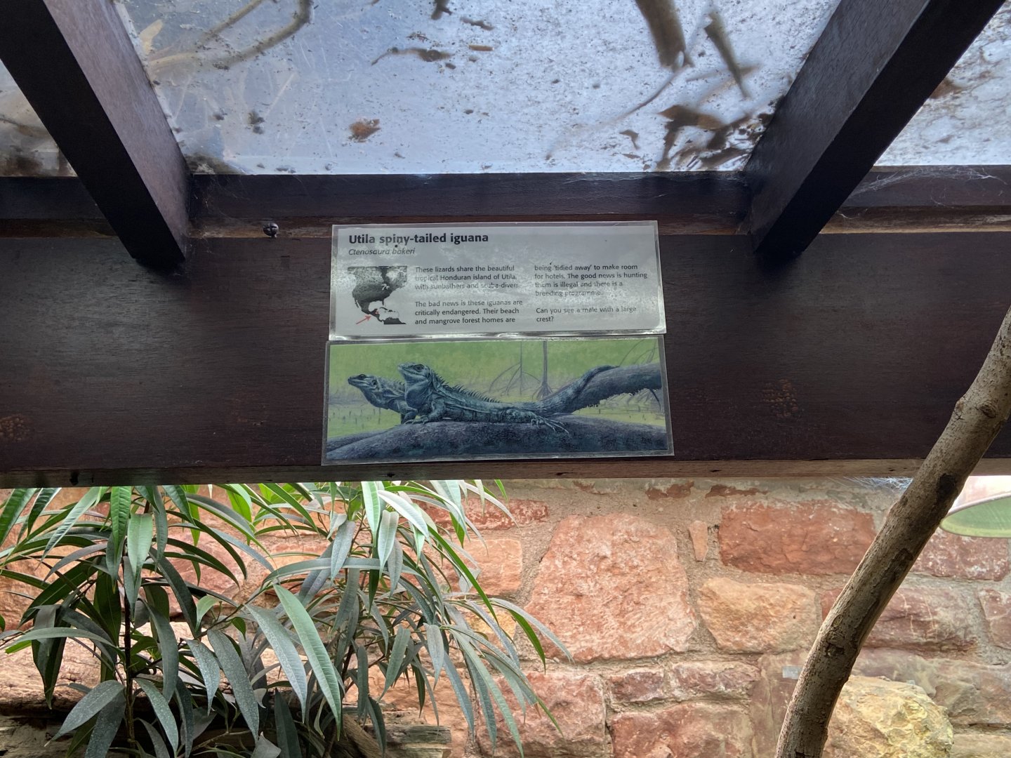 Bristol Zoo reptile house