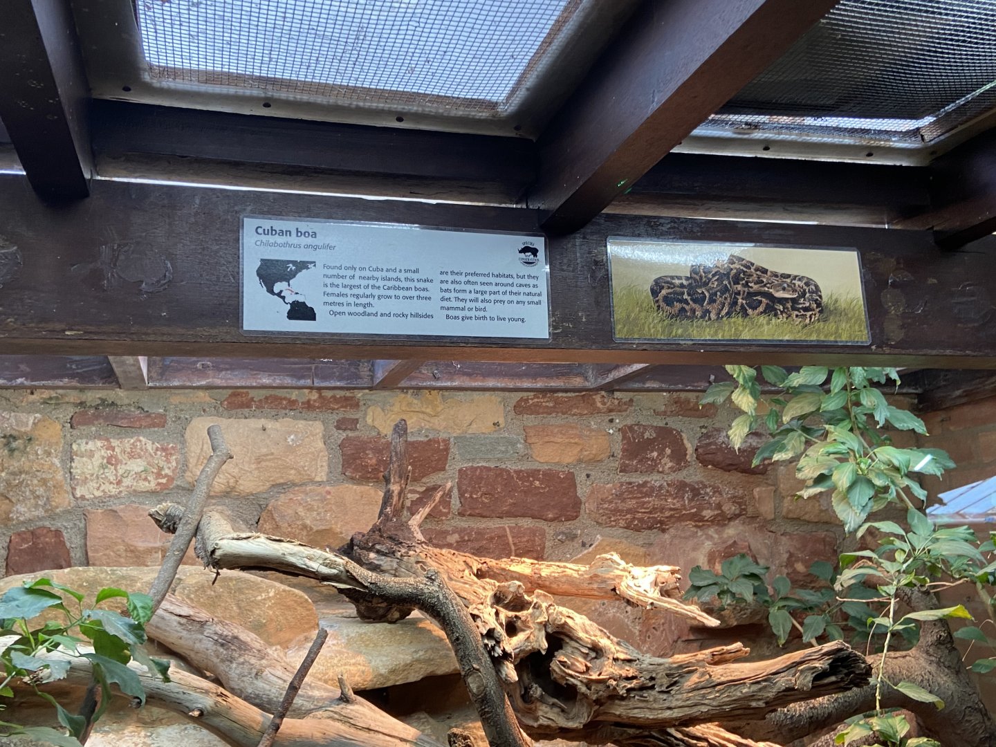 Bristol Zoo reptile house