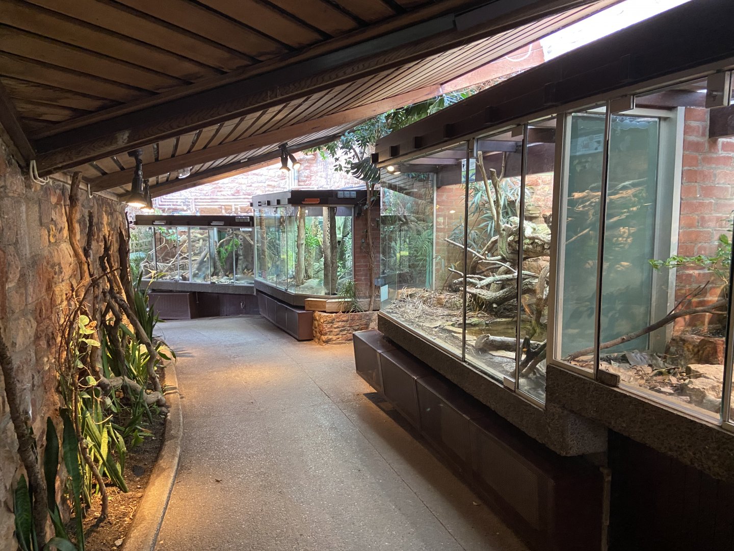 Bristol Zoo reptile house