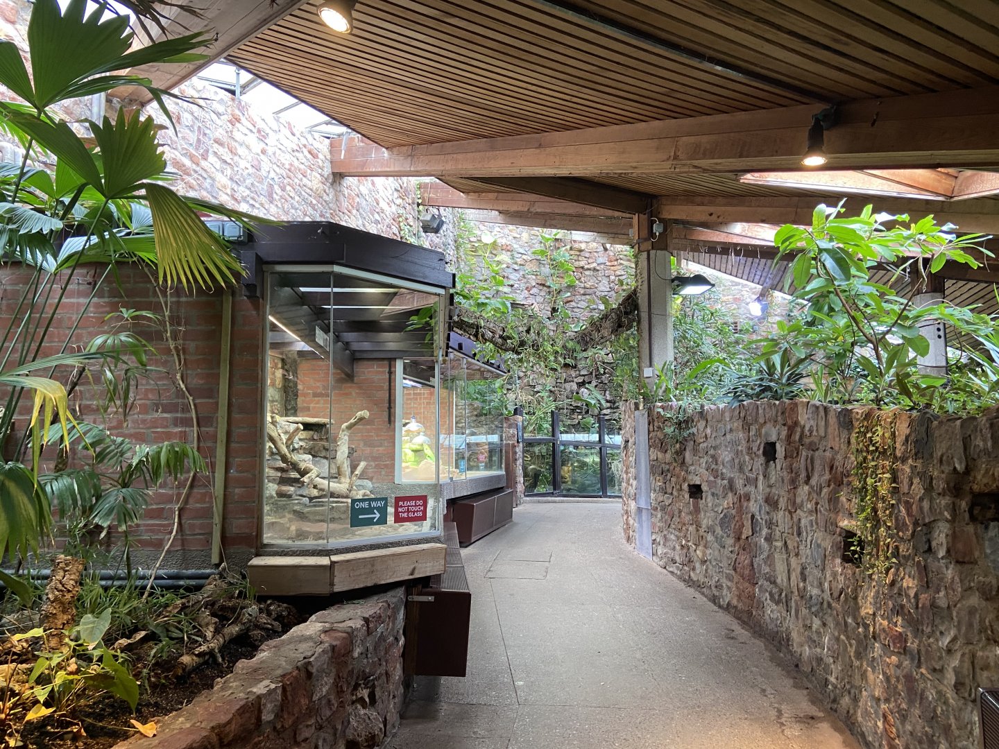 Bristol Zoo reptile house