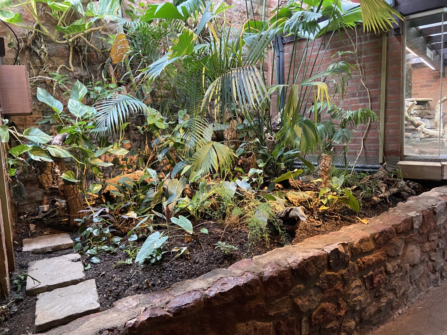 Bristol Zoo reptile house