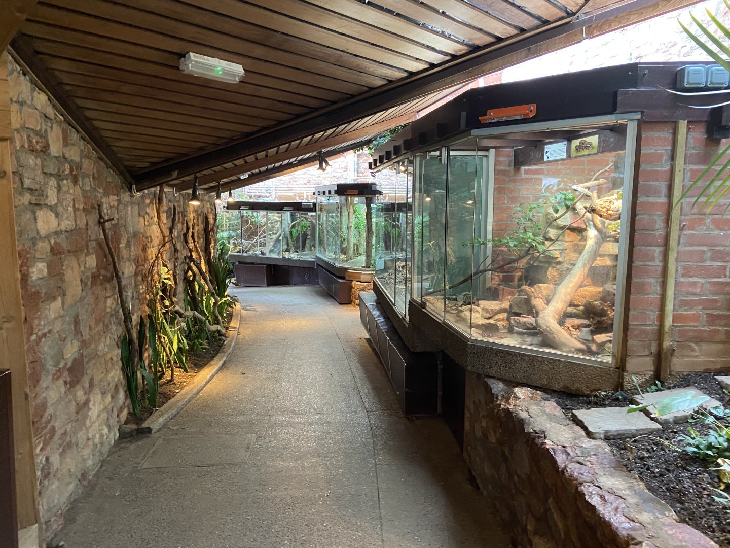 Bristol Zoo reptile house