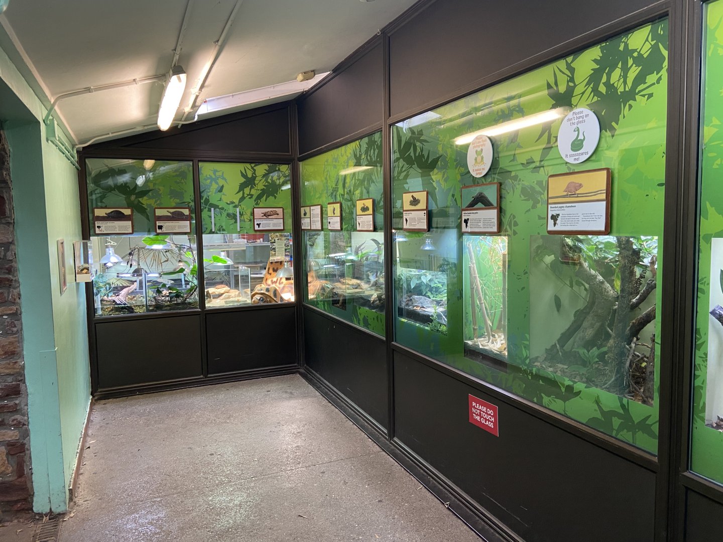 Bristol Zoo reptile house