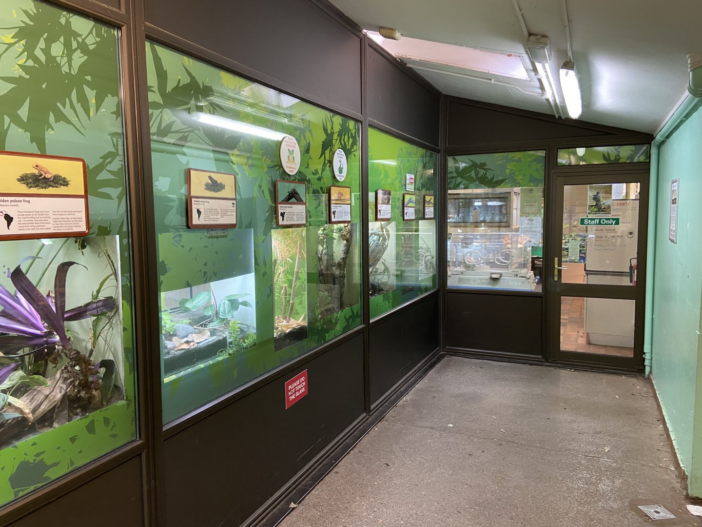 Bristol Zoo reptile house