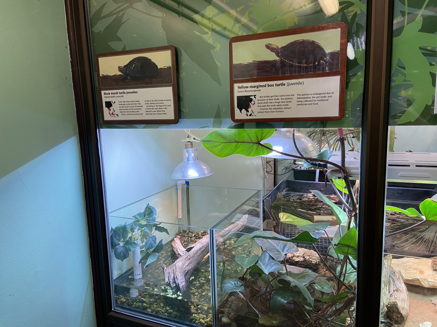 Bristol Zoo reptile house