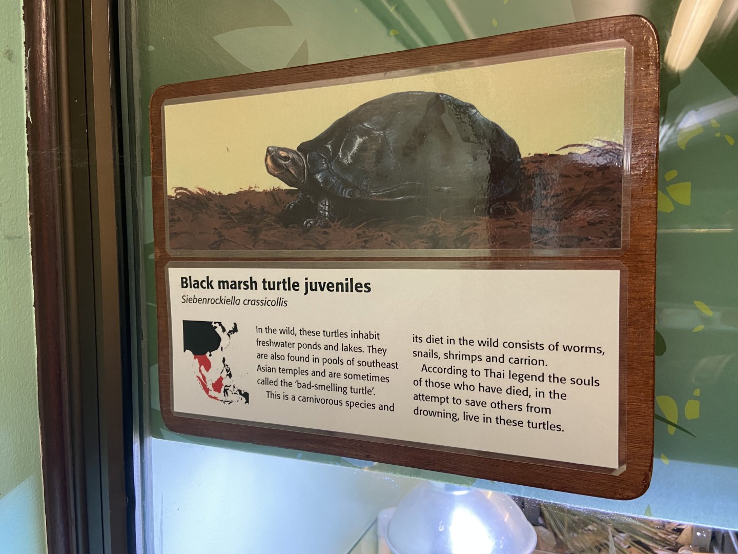 Bristol Zoo reptile house