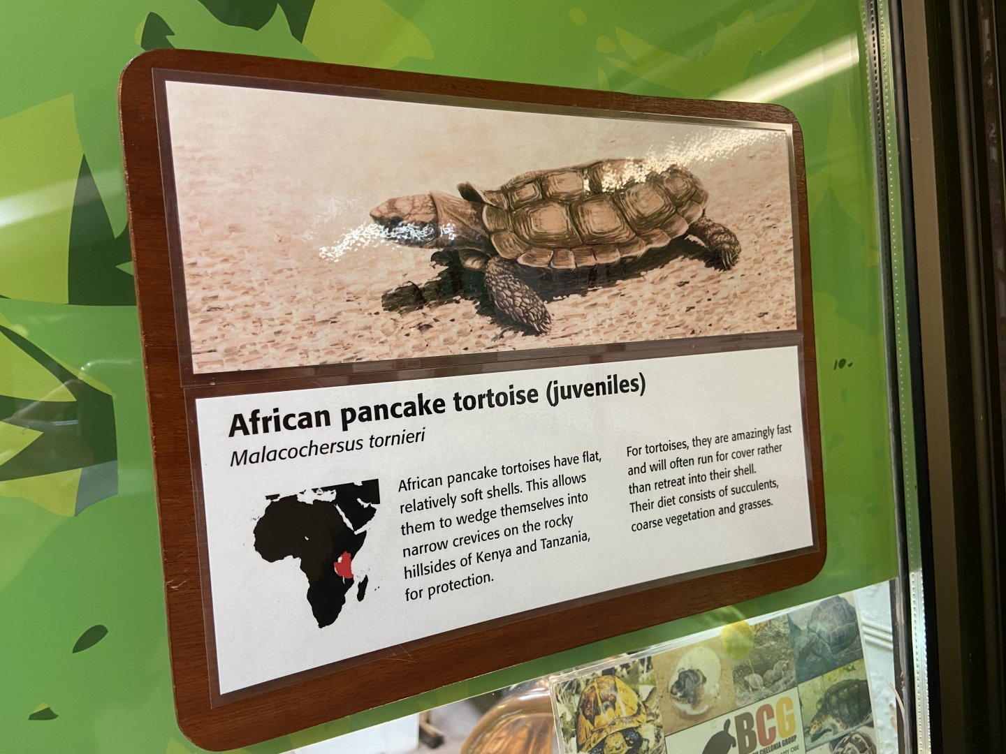 Bristol Zoo reptile house