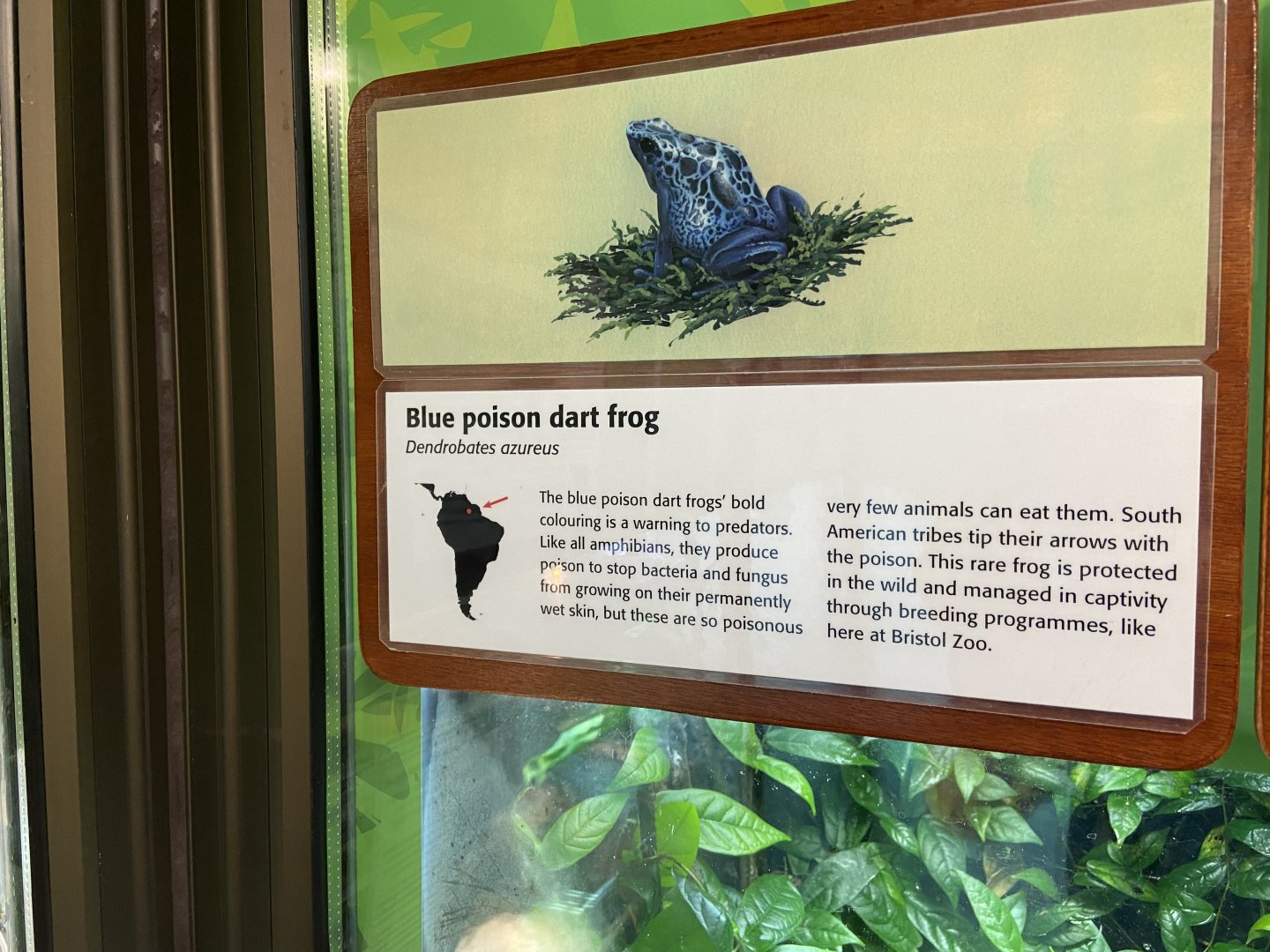 Bristol Zoo reptile house