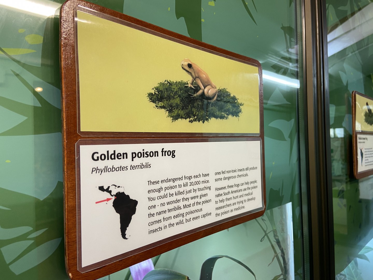 Bristol Zoo reptile house