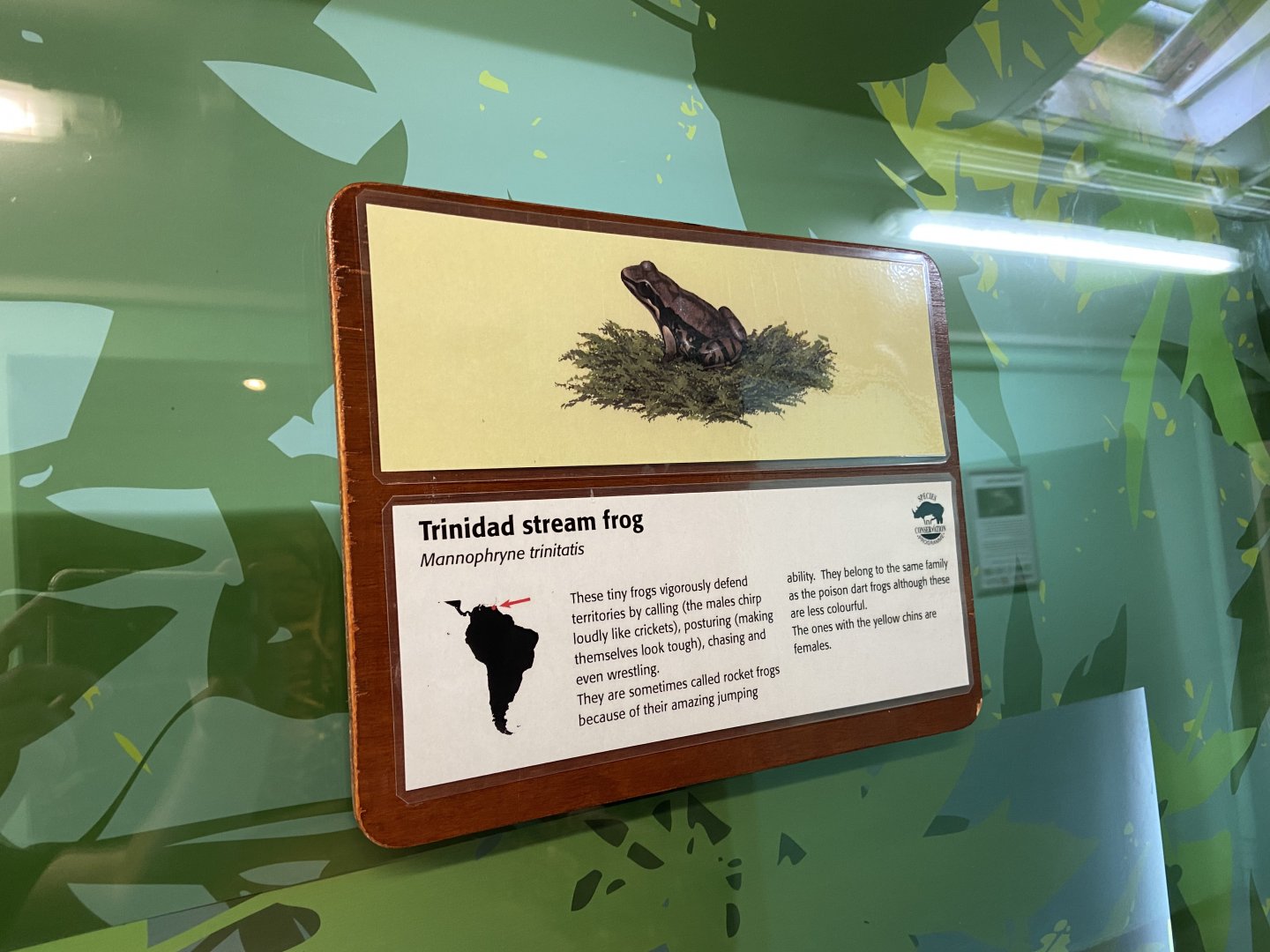 Bristol Zoo reptile house