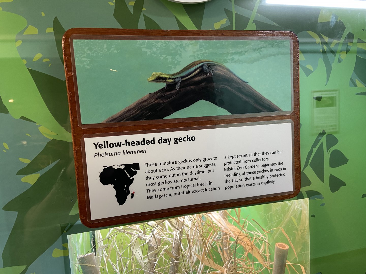 Bristol Zoo reptile house