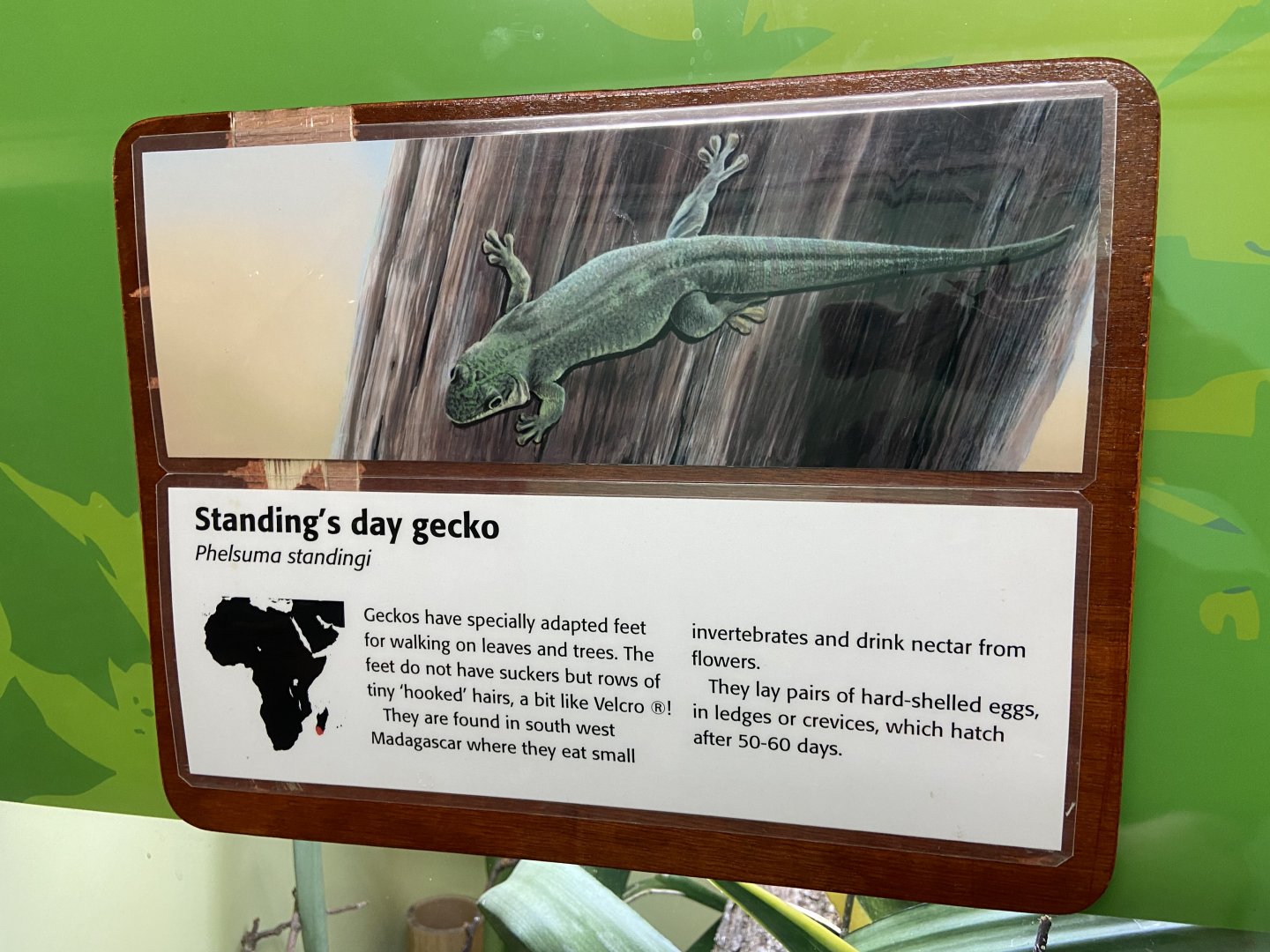 Bristol Zoo reptile house