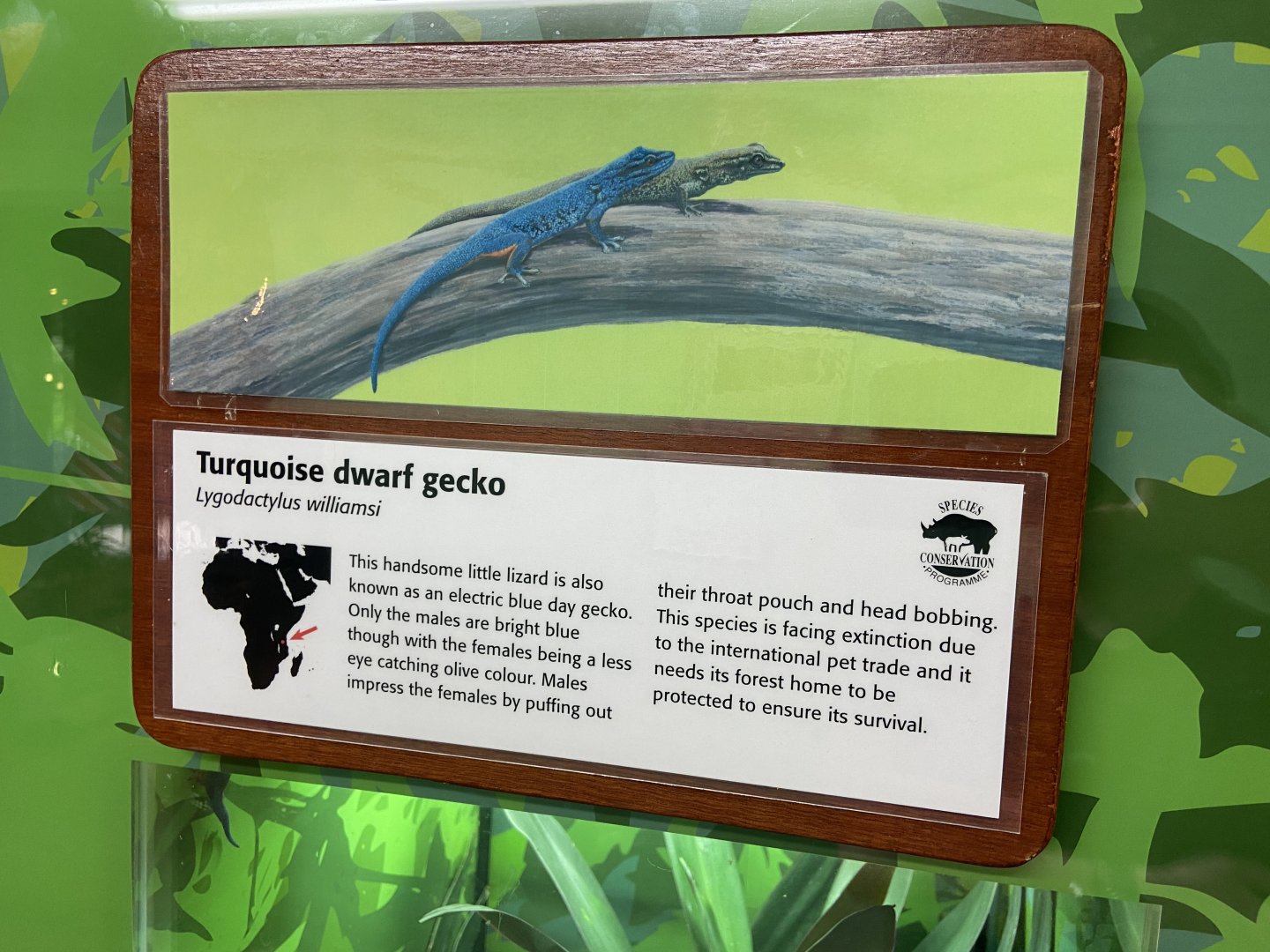 Bristol Zoo reptile house