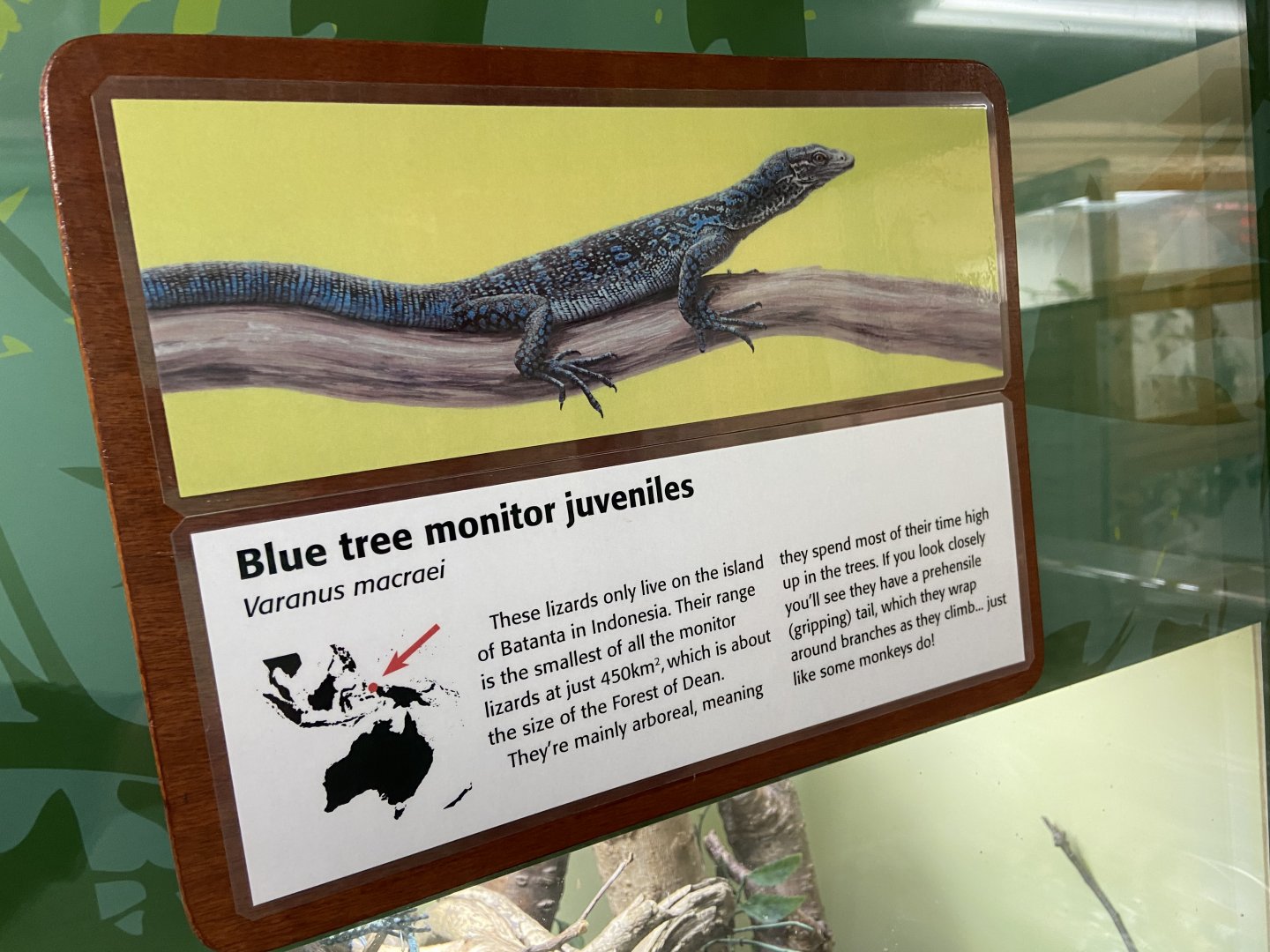 Bristol Zoo reptile house