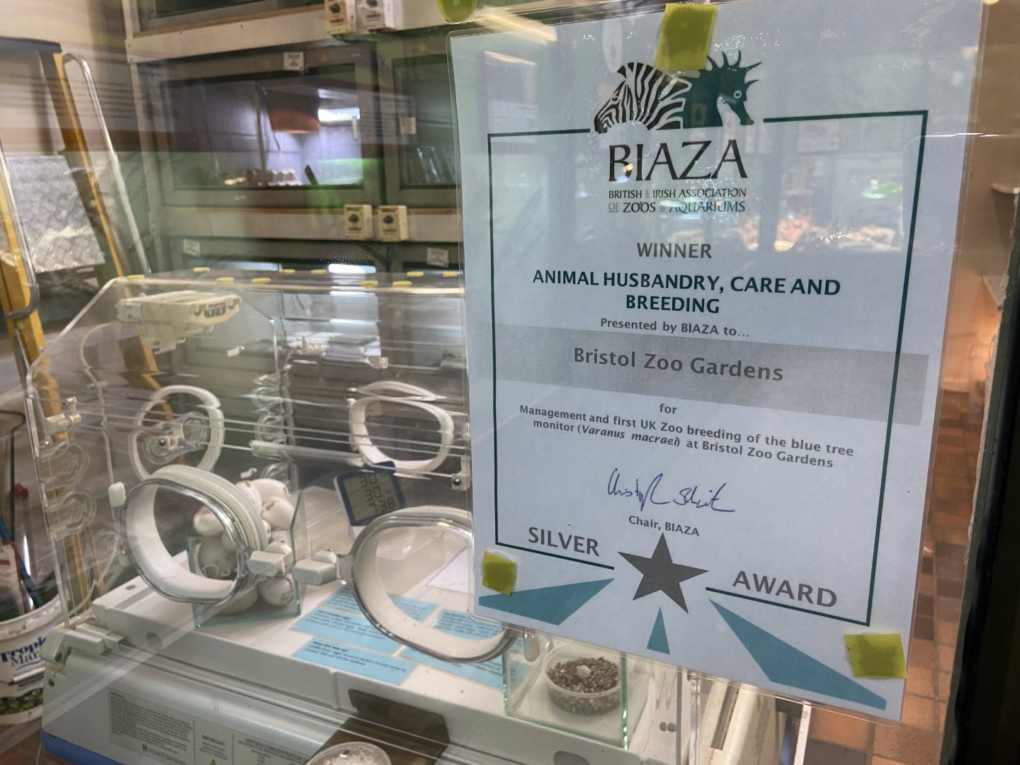 Bristol Zoo reptile house