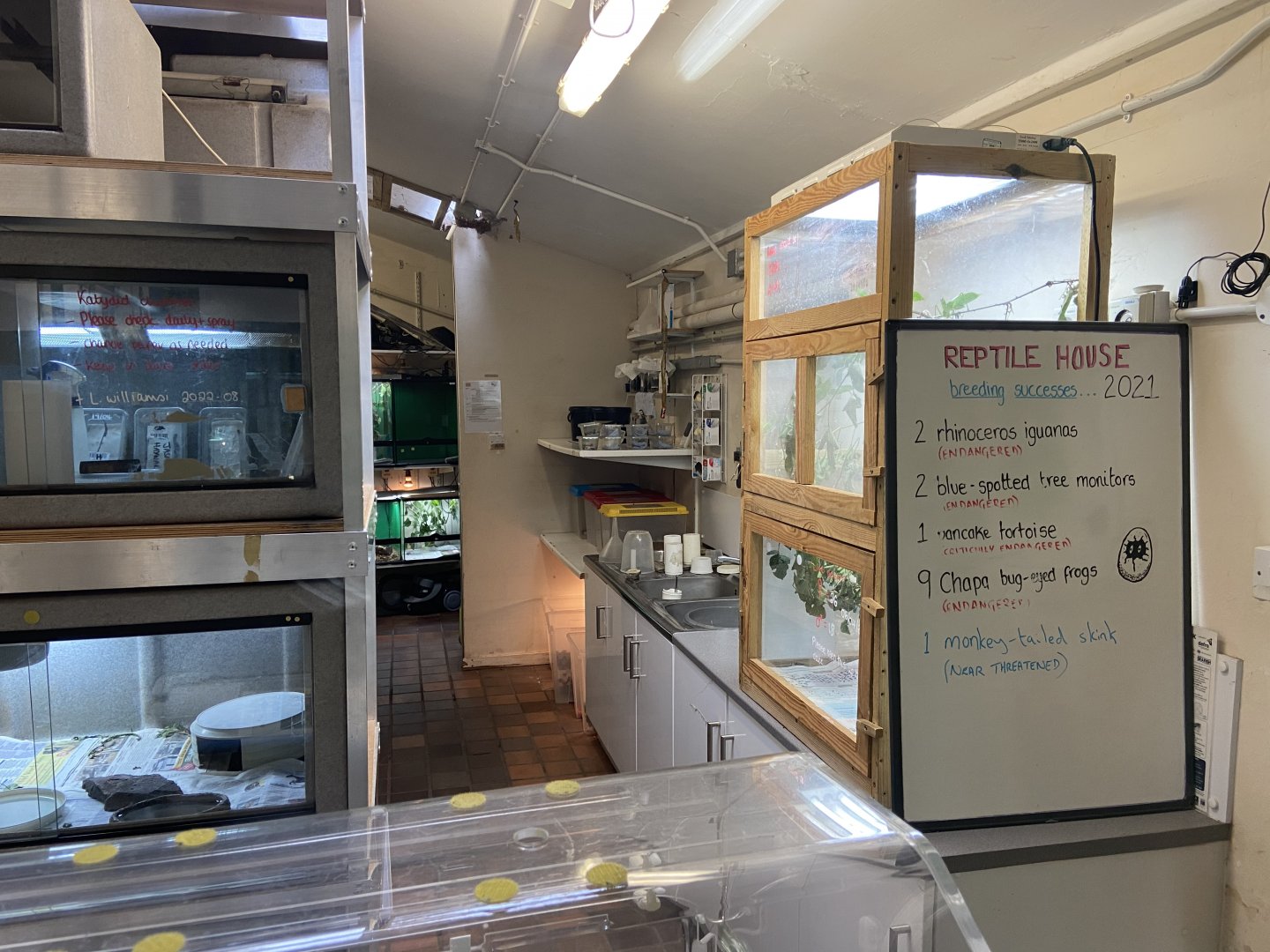 Bristol Zoo reptile house