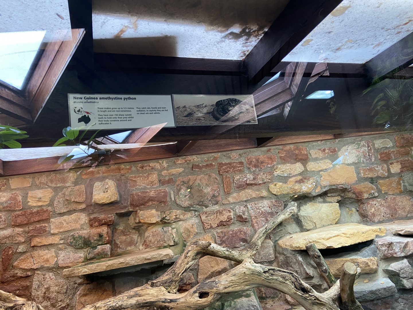 Bristol Zoo reptile house