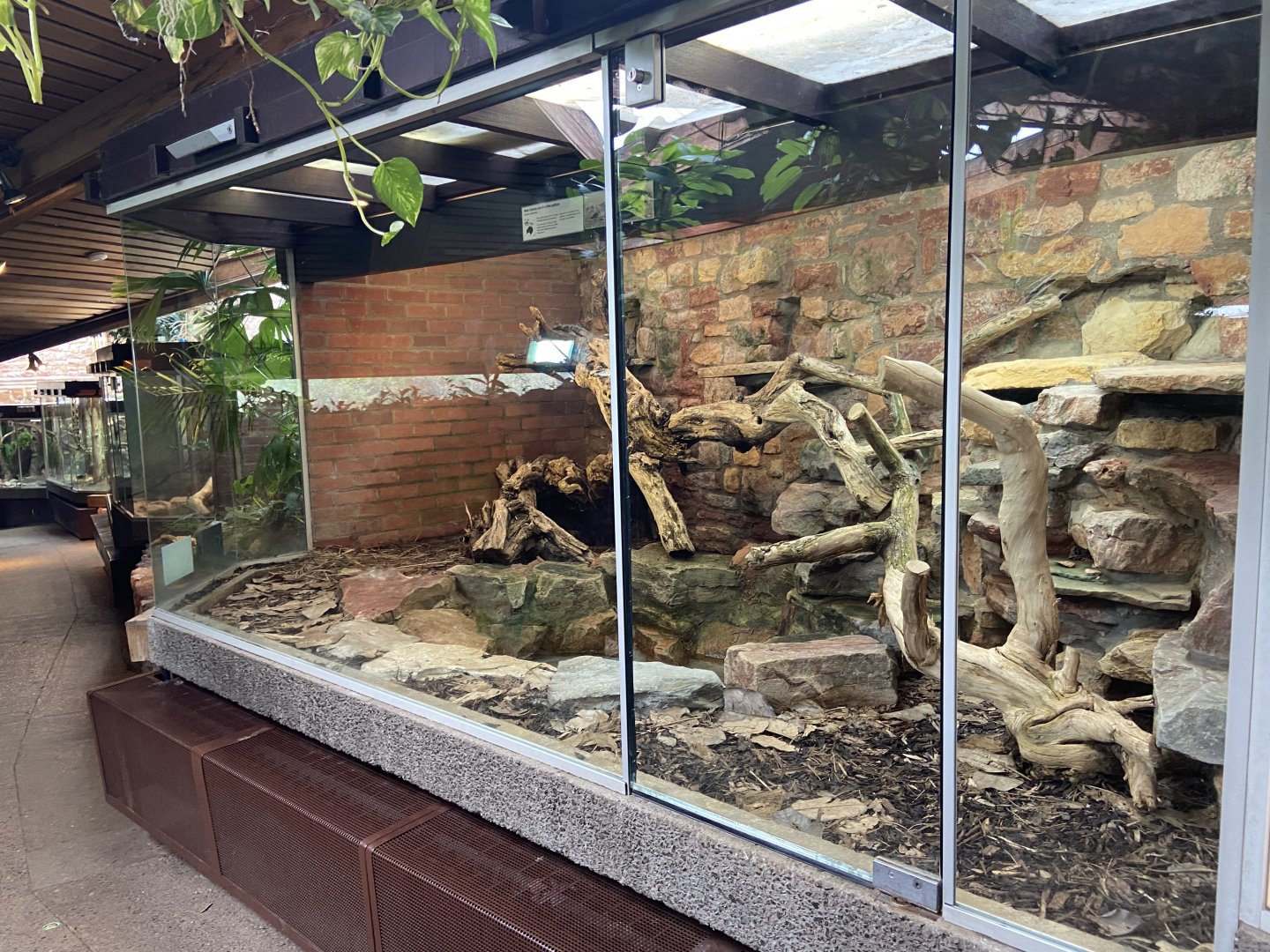 Bristol Zoo reptile house