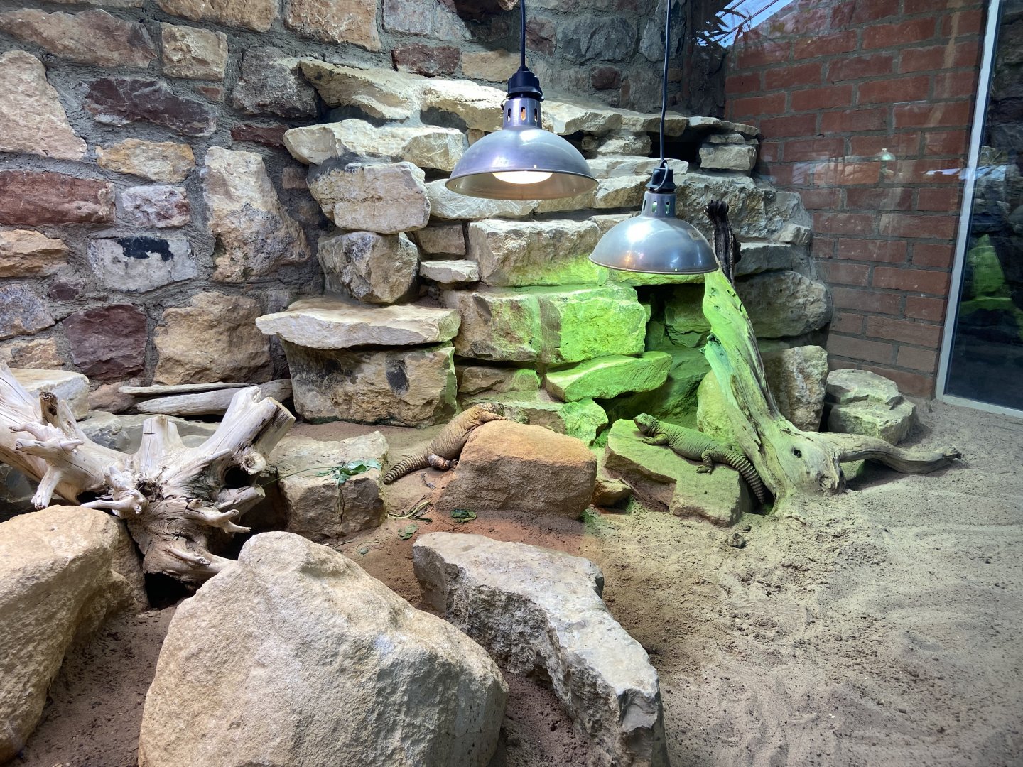 Bristol Zoo reptile house