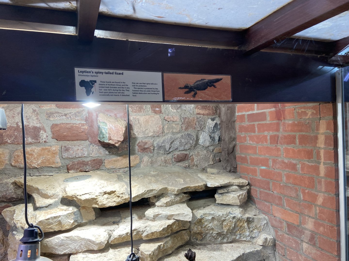 Bristol Zoo reptile house