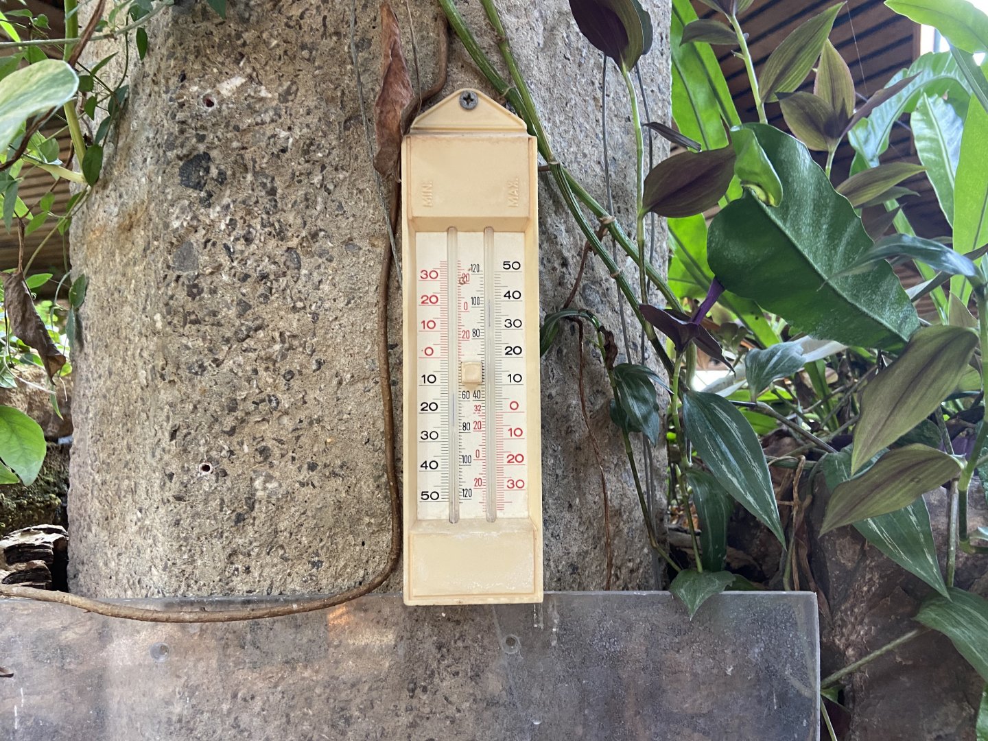 Bristol Zoo reptile house