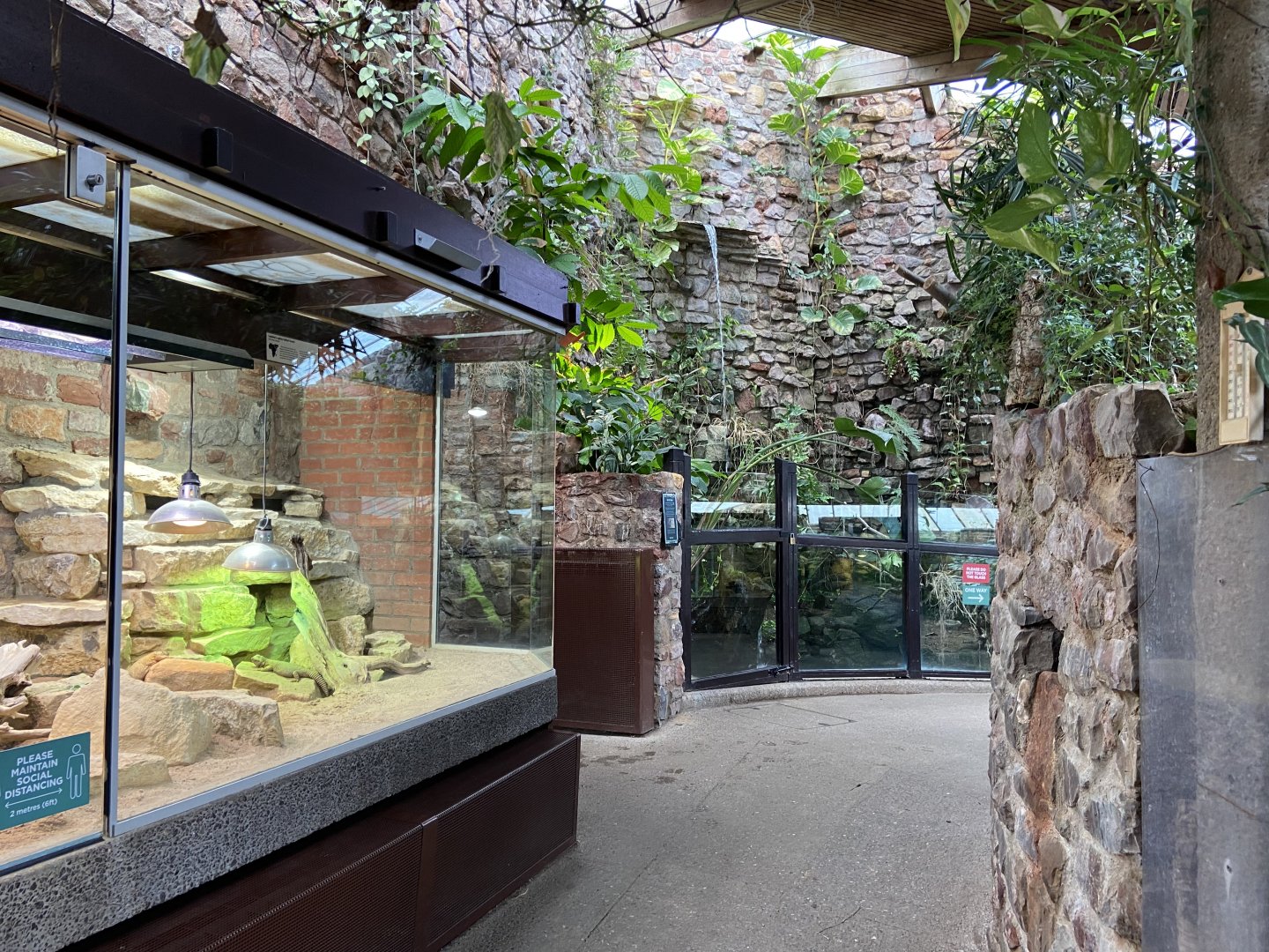 Bristol Zoo reptile house