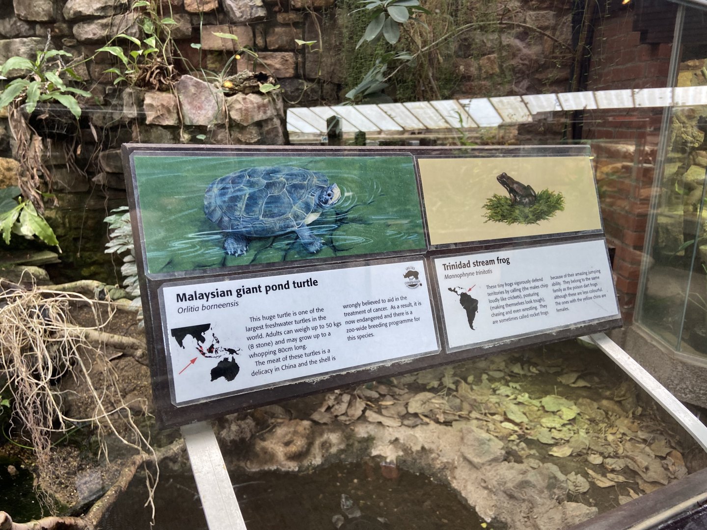 Bristol Zoo reptile house