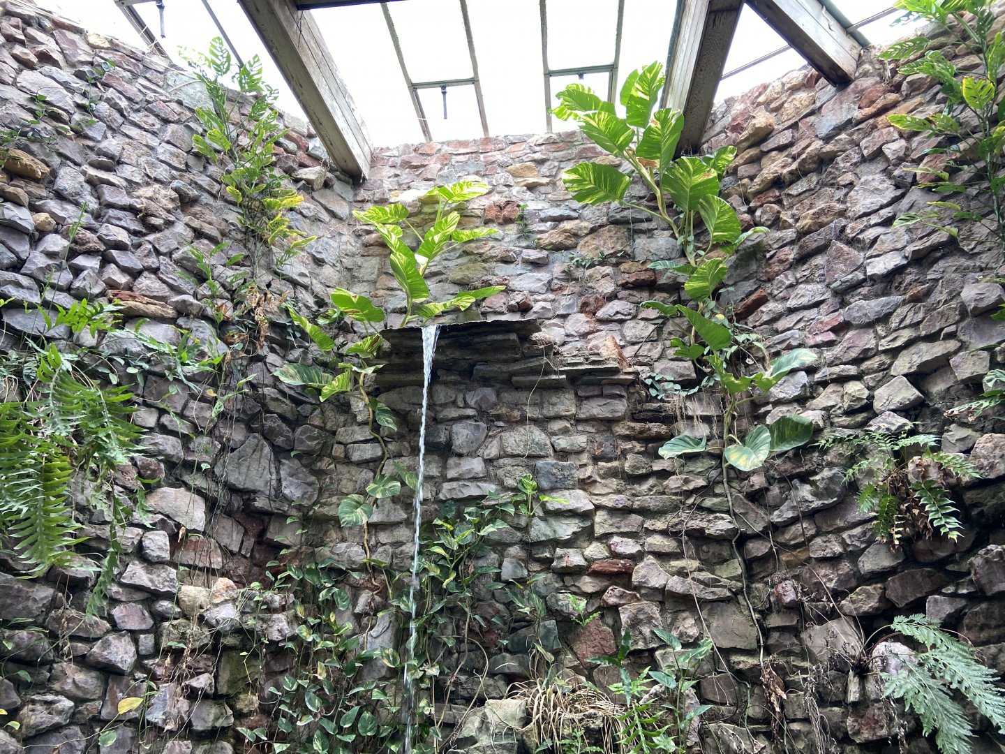 Bristol Zoo reptile house