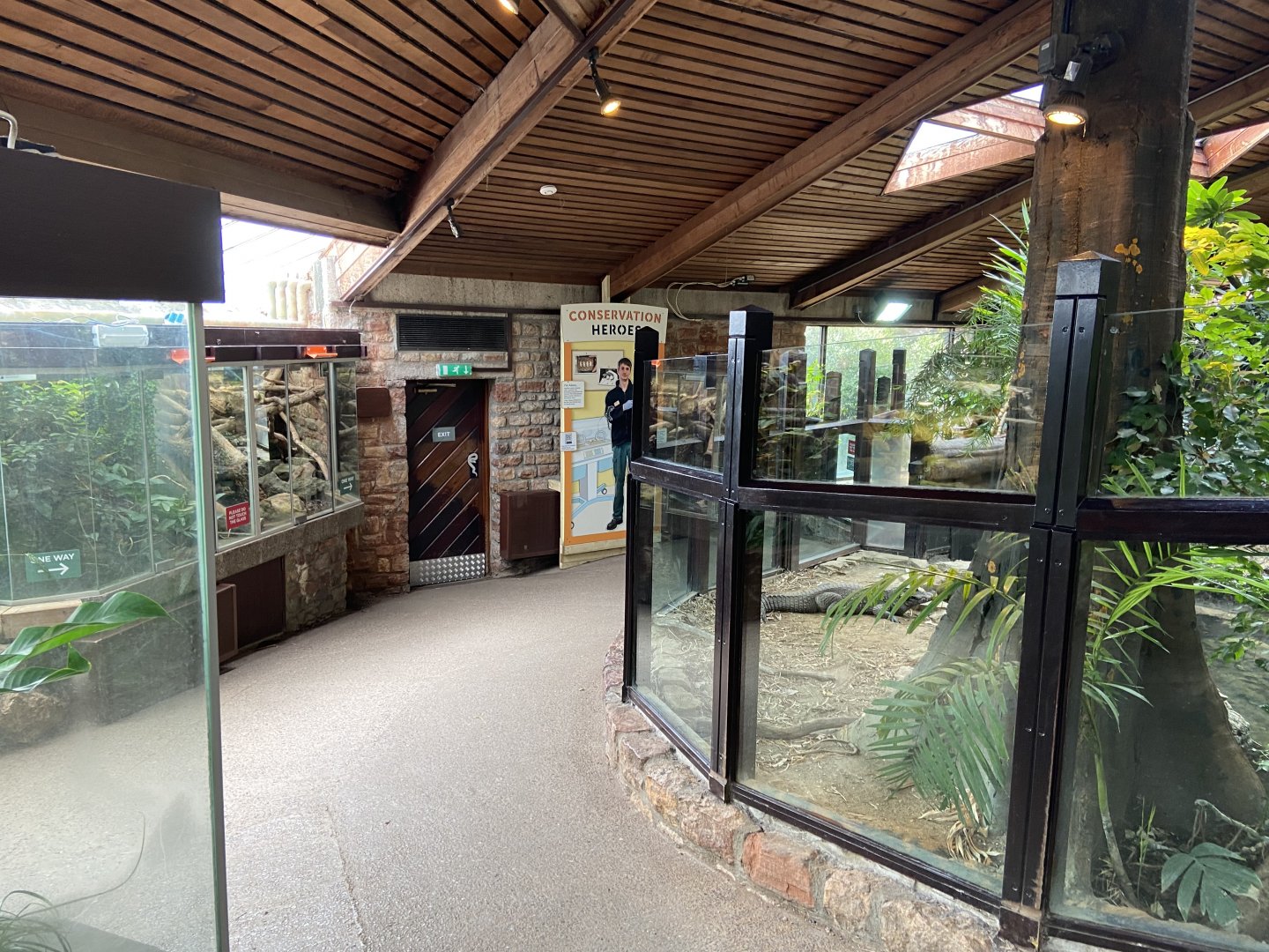 Bristol Zoo reptile house