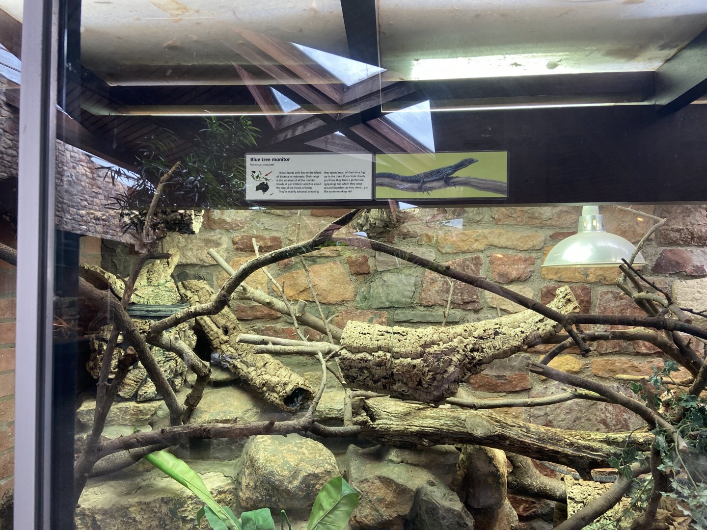 Bristol Zoo reptile house