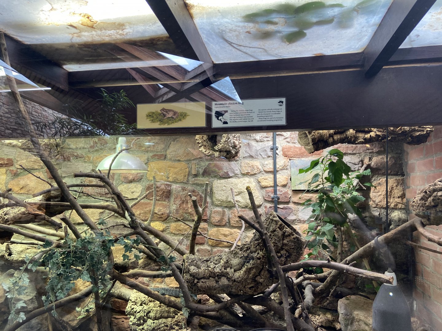 Bristol Zoo reptile house