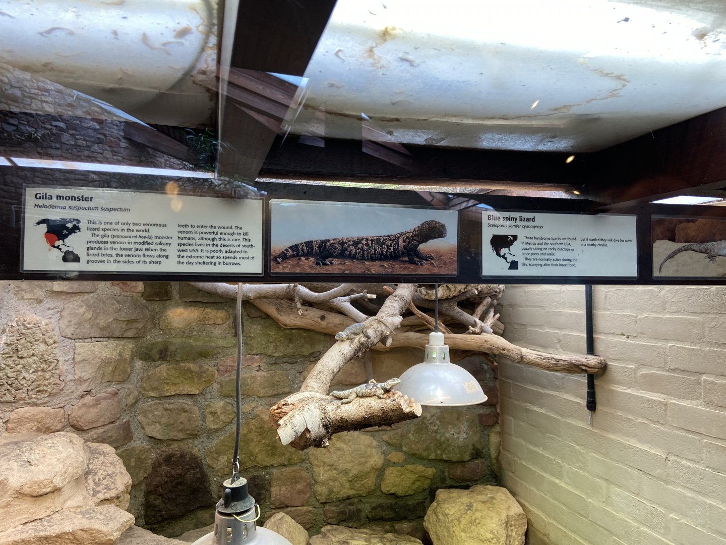 Bristol Zoo reptile house