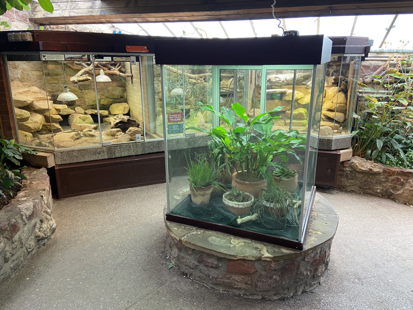 Bristol Zoo reptile house