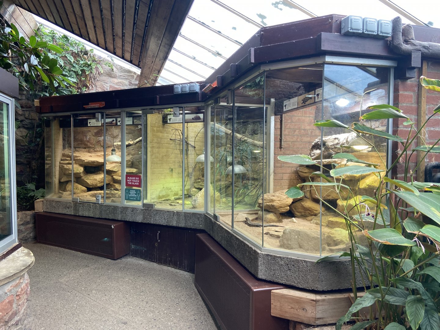 Bristol Zoo reptile house