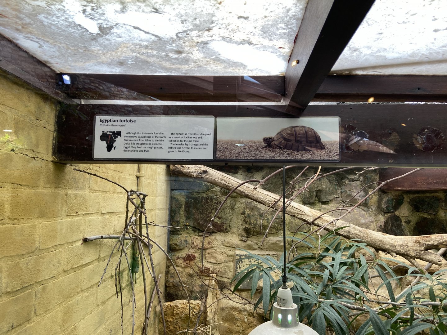Bristol Zoo reptile house