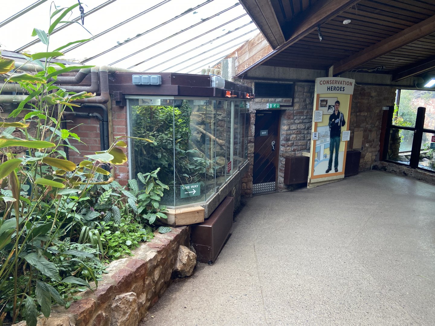 Bristol Zoo reptile house