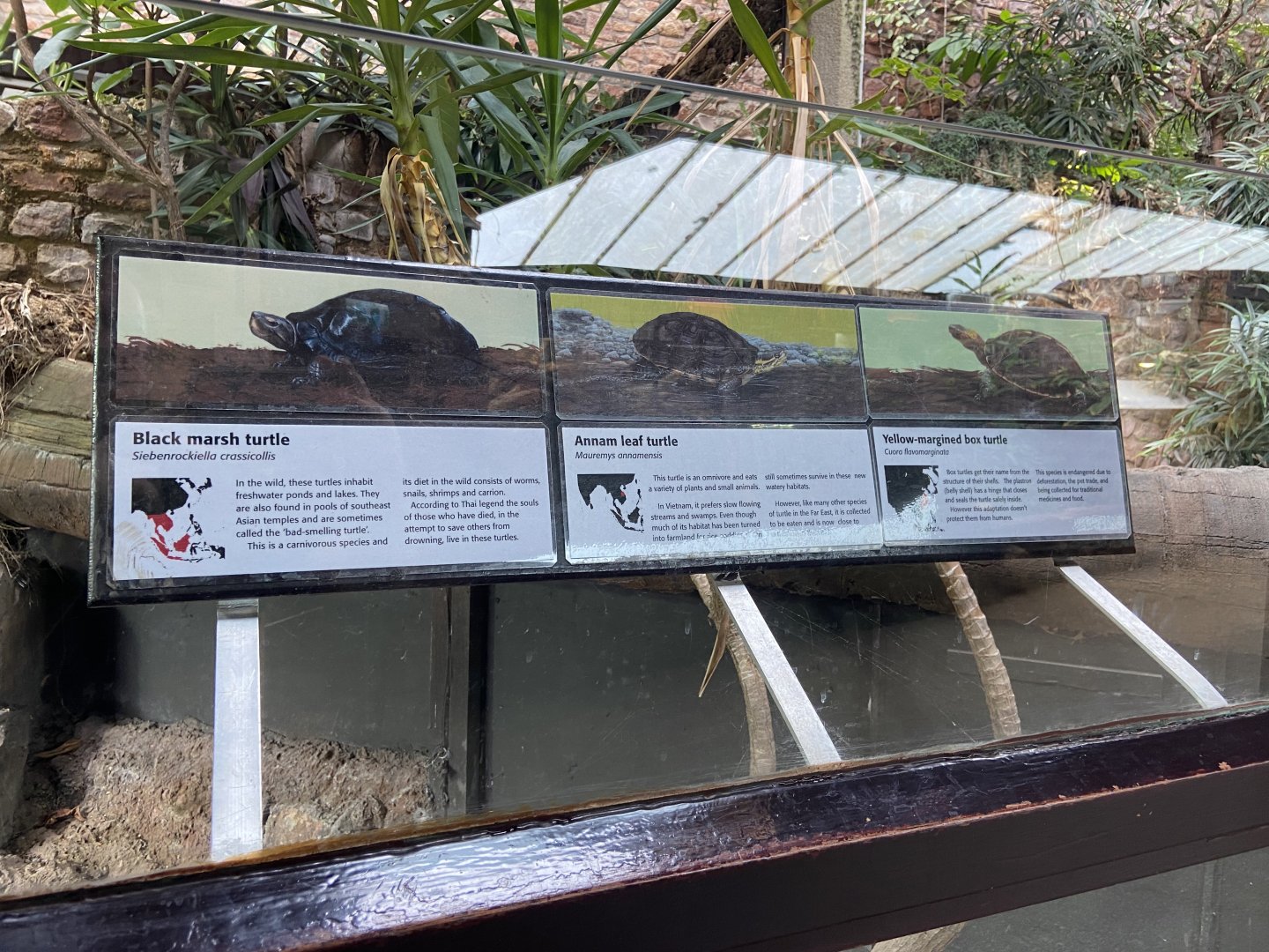 Bristol Zoo reptile house