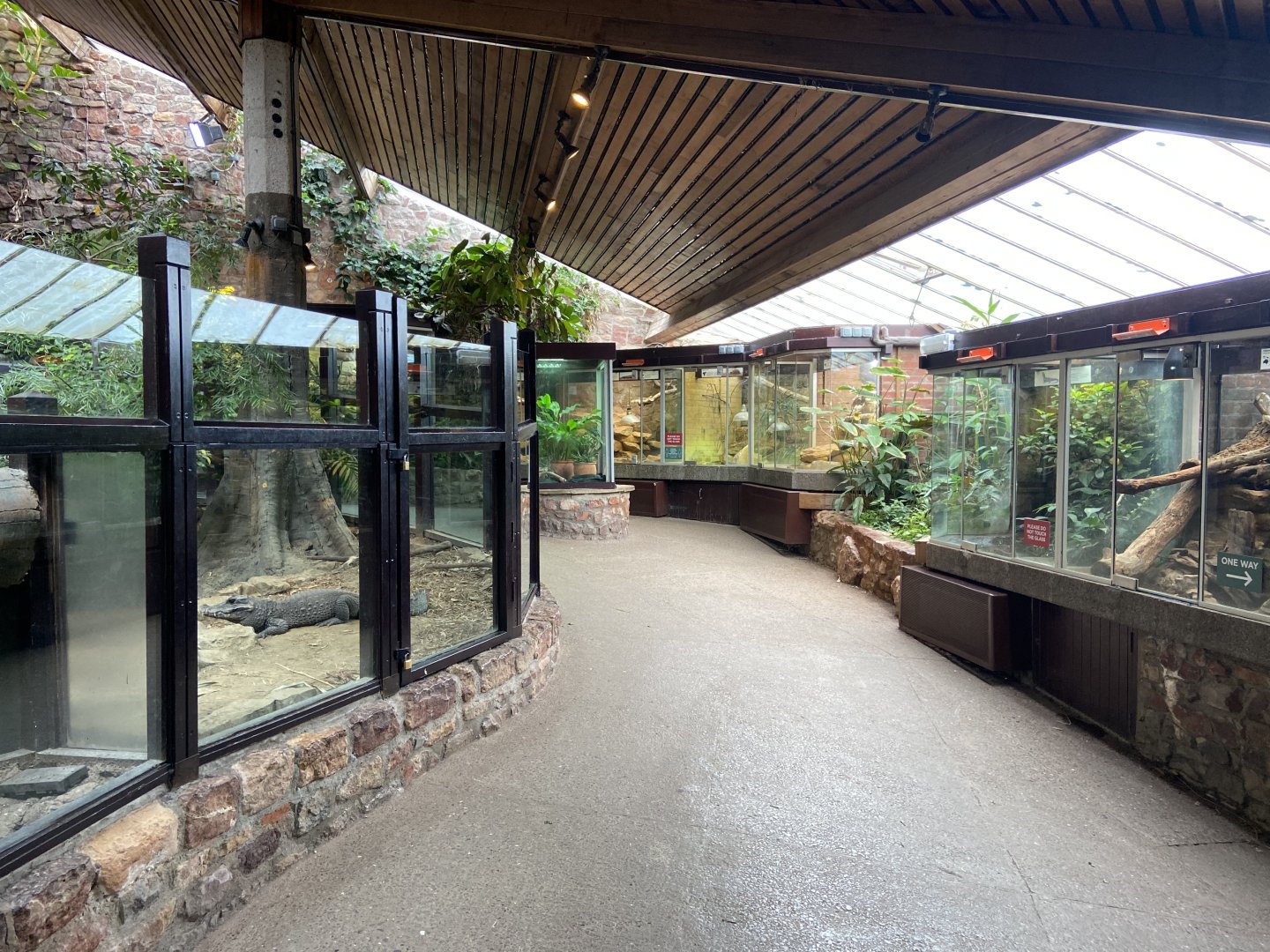 Bristol Zoo reptile house