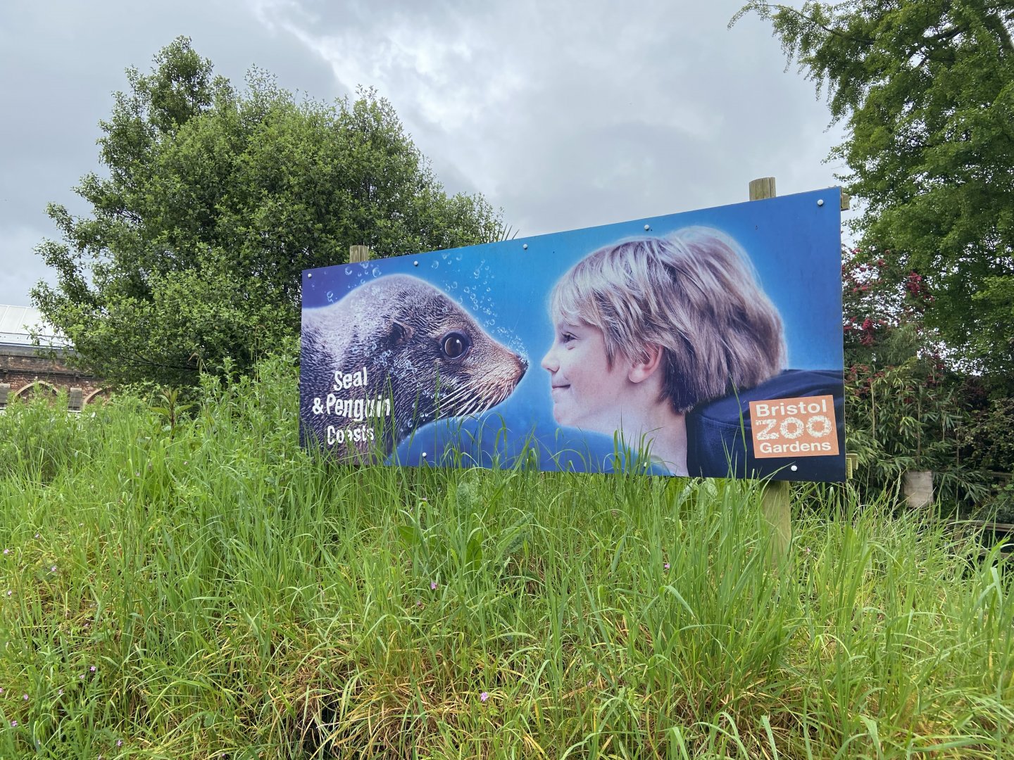 Bristol Zoo Seal and Penguin Coasts