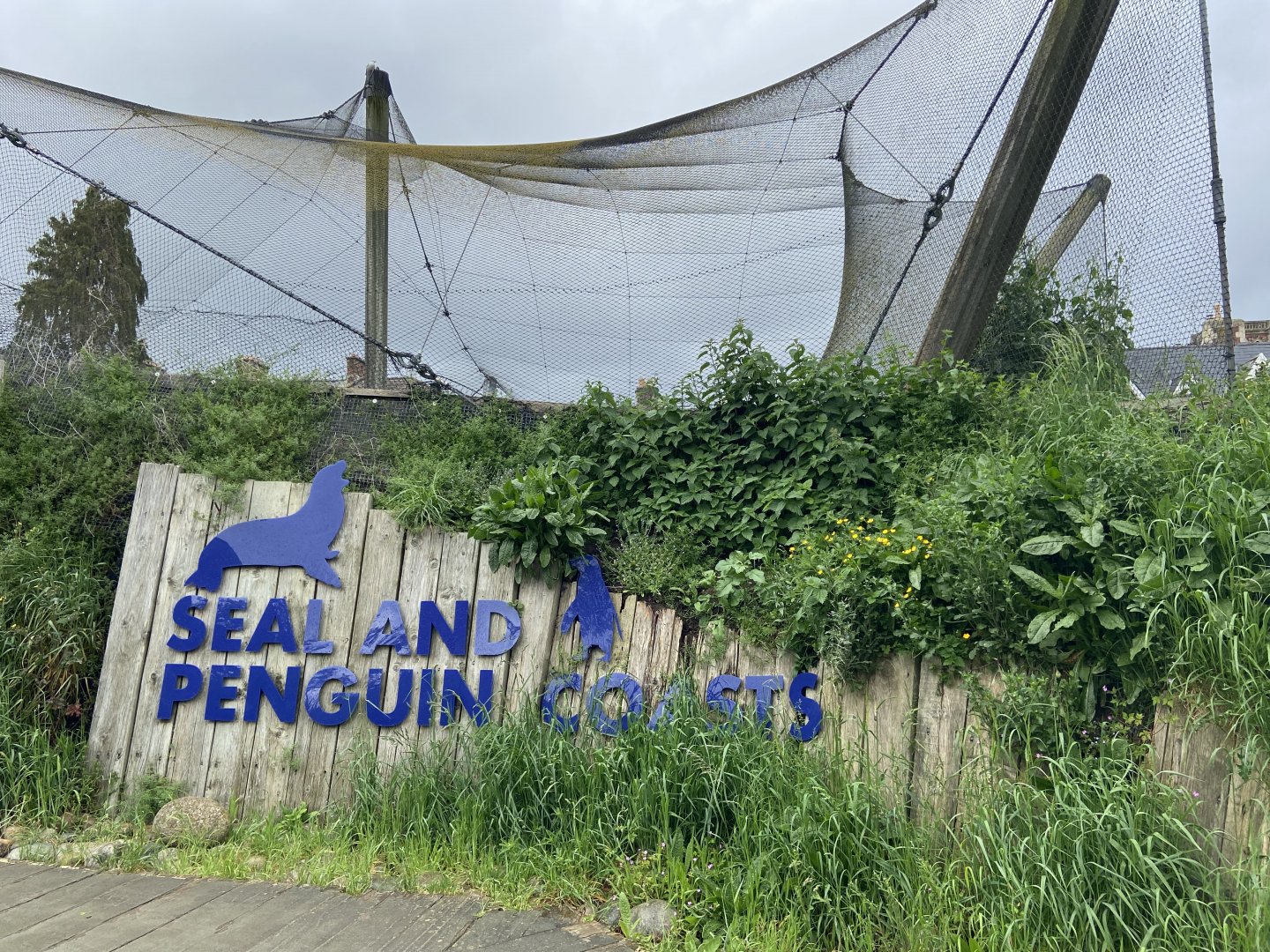Bristol Zoo Seal and Penguin Coasts