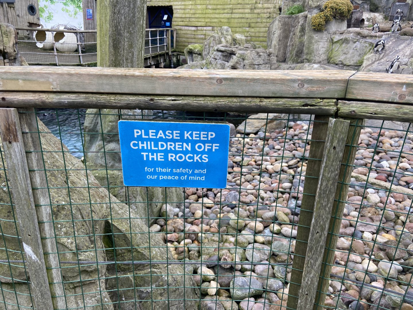 Bristol Zoo Seal and Penguin Coasts