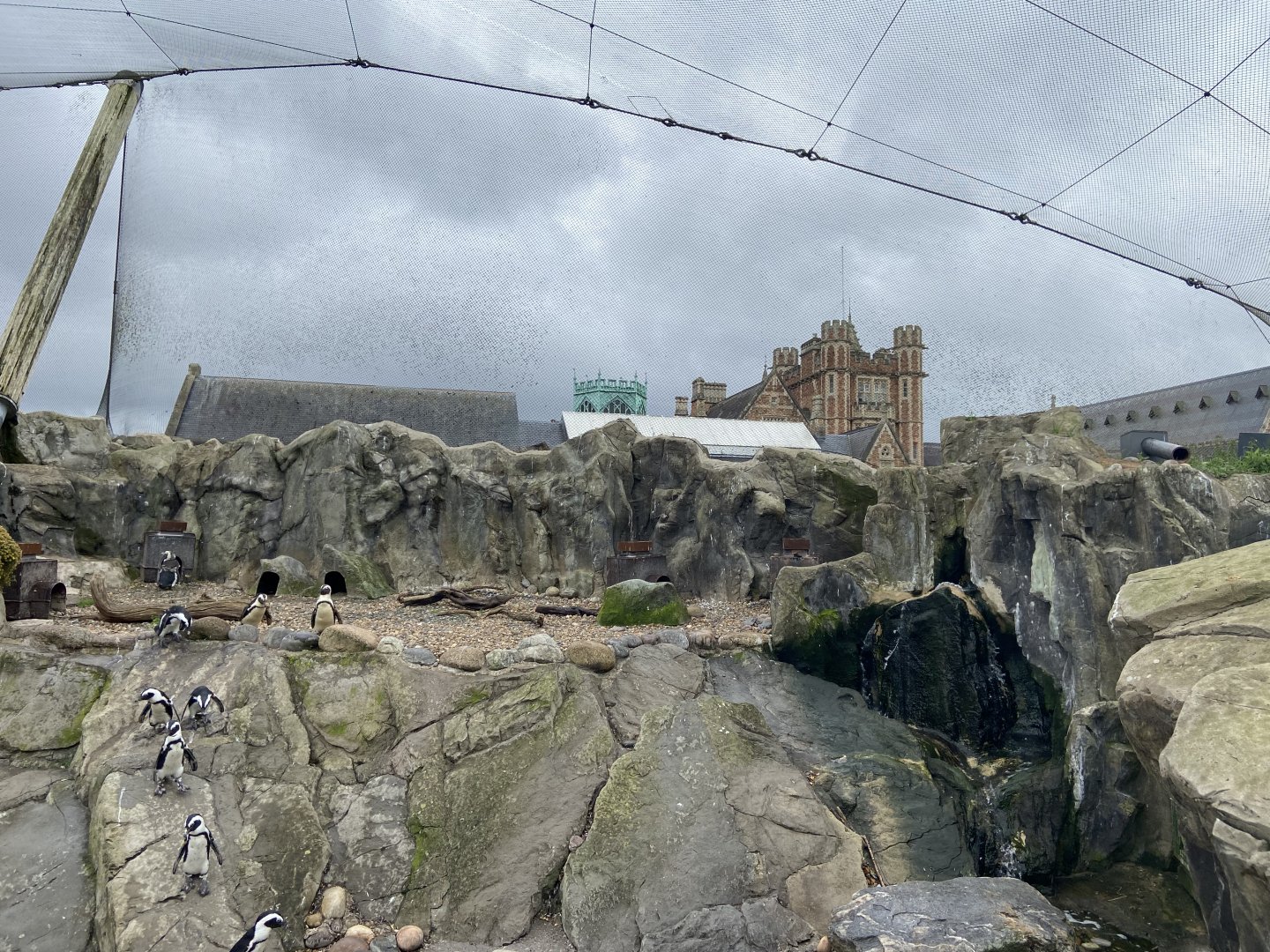 Bristol Zoo Seal and Penguin Coasts