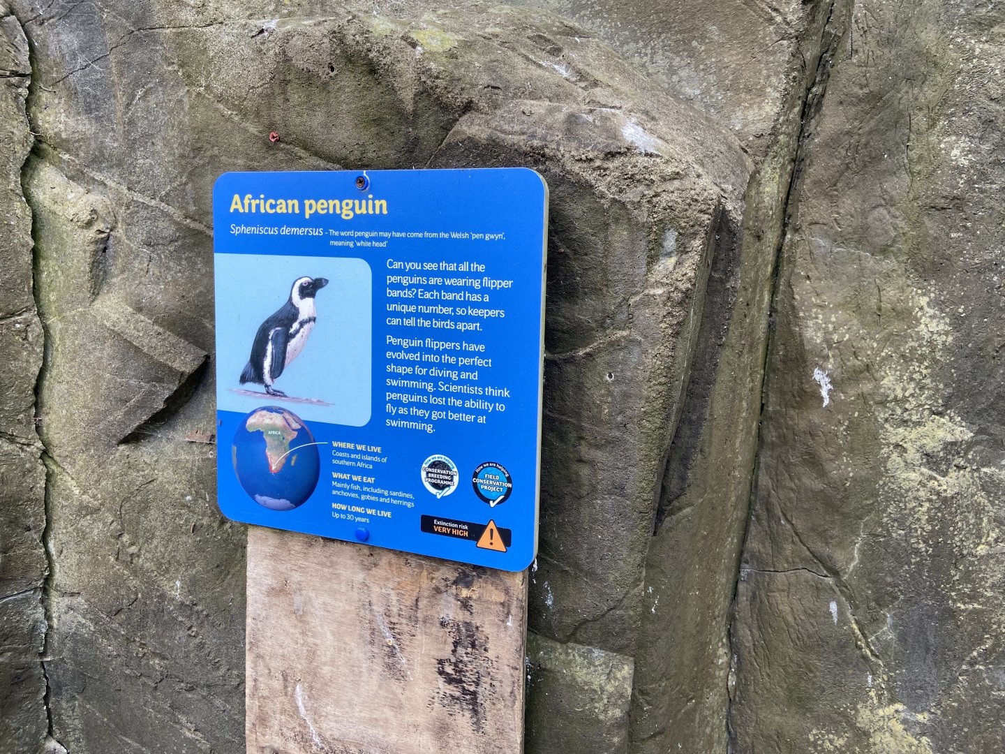 Bristol Zoo Seal and Penguin Coasts